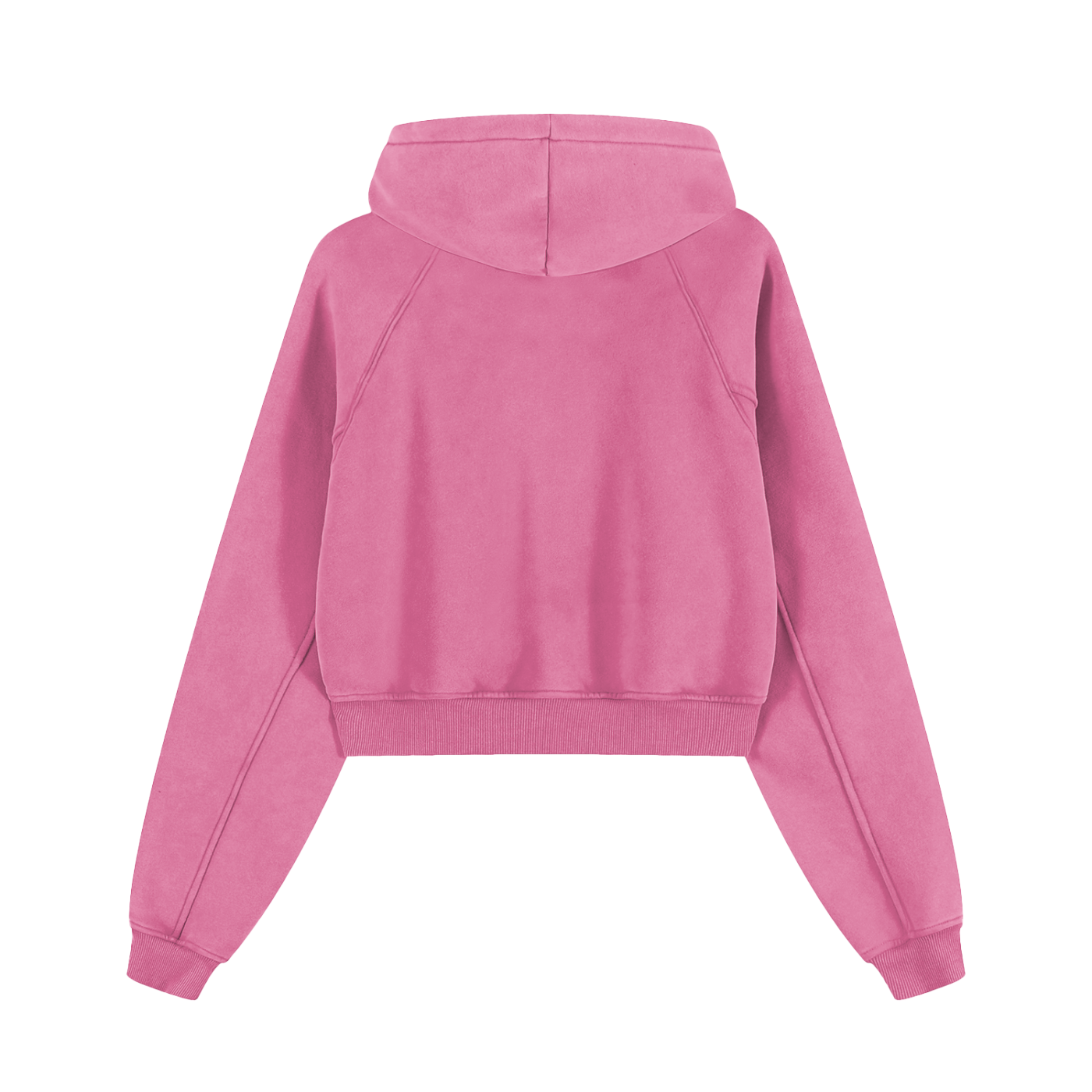 ROME DWBD Snow Washed Cropped Hoodie